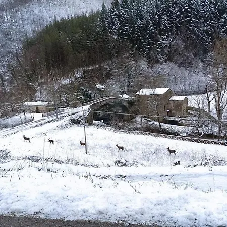 Ponte Nuovo Apartamento